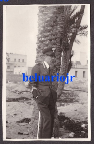 3527 foto carabinieri reale - 3527-,