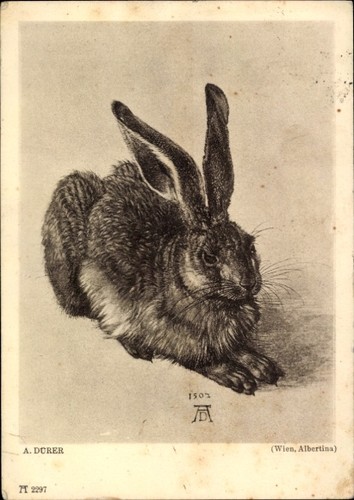 Künstler dürer albrecht - künstler, ak