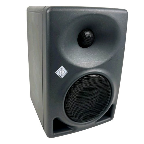 Neumann dsp - neumann,
