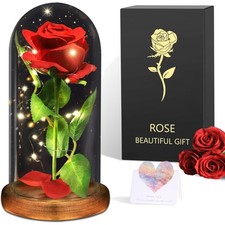 Ewige Rose Glas Liebe Geschenk