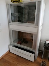 Terrariumschrank, Terra gebraucht. Eigenbau