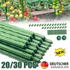 20x / 30x Pflanzstäbe