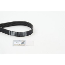 Keilrippenriemen Continental Ctam 7PK1855 für Bmw Subaru Land Rover