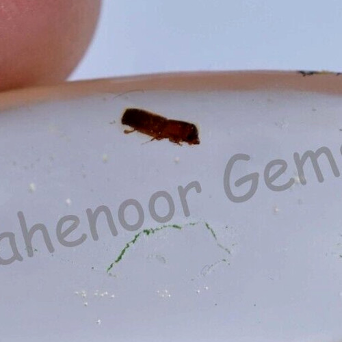 Natürlicher gelber - 16.00, ct