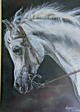 ARABER PFERD Original Pastell