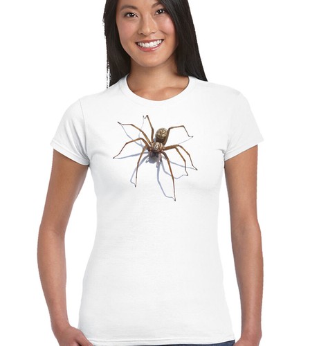 Spinne damen lustiges - damen,