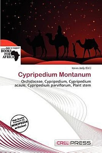 Cypripedium montanum iosias - cypripedium,