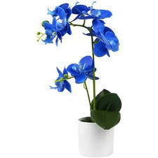Elegante Blaue