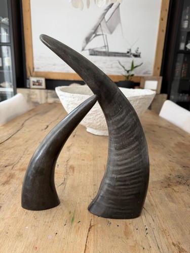 Naturhörner aus südafrika - naturhörner,
