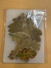 Herbarium Set
