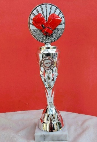 Boxen pokal champion silber - boxen,