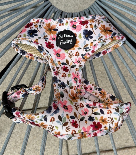 Pet pooch boutique - pet,