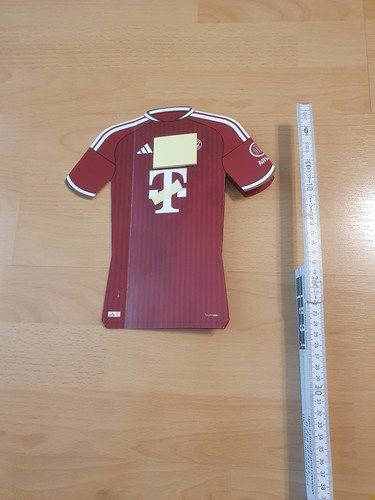 Bayern leipzig allianz - bayern,