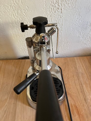 Pavoni europiccola - la,