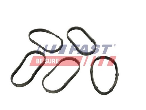 Fast ft49456 dichtung - ft49456,