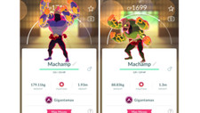 💪Gigantamax Machamp (Gigadynamax Machomei) Pokemon GO💪 Exchange or PTC