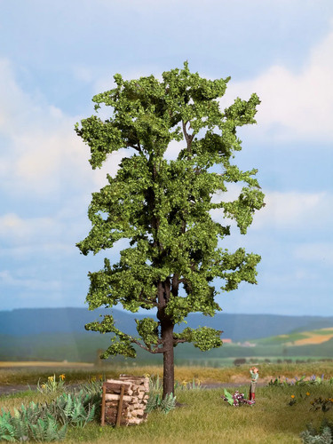 Noch linde realistische baum - noch, linde,
