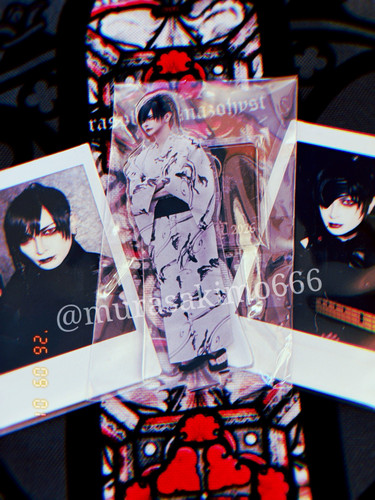 Boogie jiluka bundle - boogie,