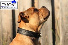 Hundehalsband Leder M L XL 3,5 6 cm BREIT genäht Mittel  - Groß Halsband Tysons 