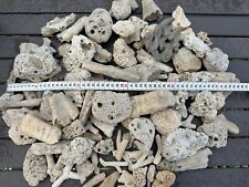 5kg Steinkoralle cremeweiß Korallenstock Korallenbaum, Aquarium PH Material