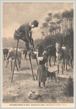 Stelzen-Laufstelzen "Französicher Pferdehirt aus Stelzen" Orig. Holzstich v.1899