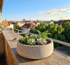 Dekoschale Cali Beton Deko