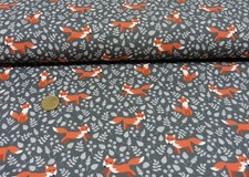 Franz Fuchs Hilco grau