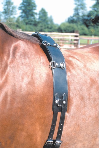 Longiergurt leder ring - longiergurt,