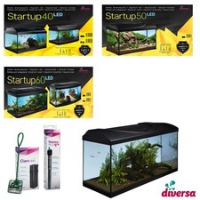 Aquarium diversa startup - startup, set