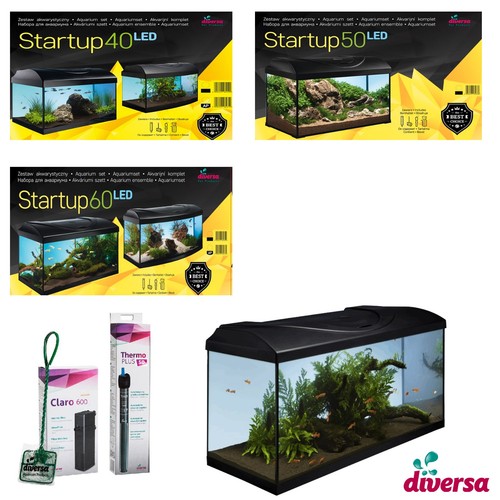 Aquarium diversa startup - aquarium,