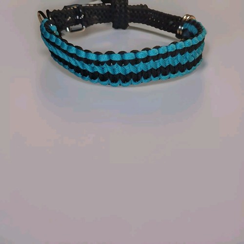 Aqua schwarz gebissloser - aqua/schwarz,