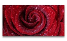 120x60cm Leinwandbild Rote