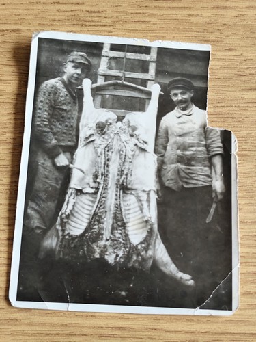 Foto ww1 metzger - foto, 1.wk