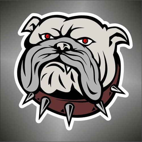 Bulldog english hund - bulldog,