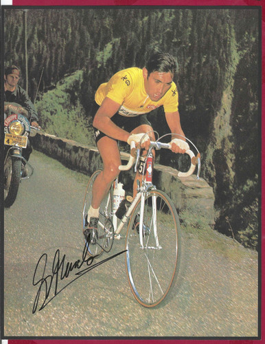 Eddy merckx belgien - eddy,
