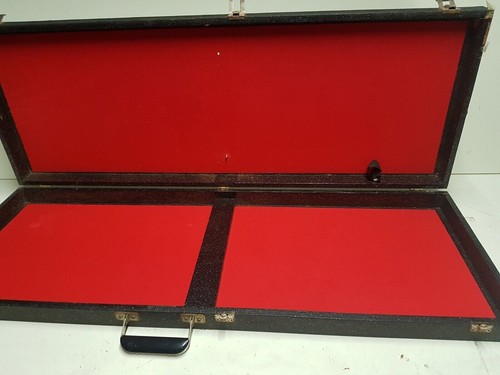 Danelectro bass case - case,