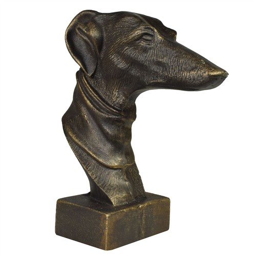 Windhund whippet hund - windhund,