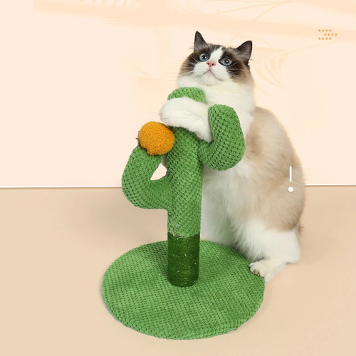 Kaktus katze kratzbaum sisal - katze,