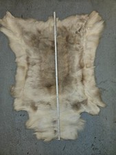 Rentierfell neu 105x115 cm