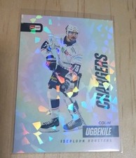 DEL Eishockey Tradingcard