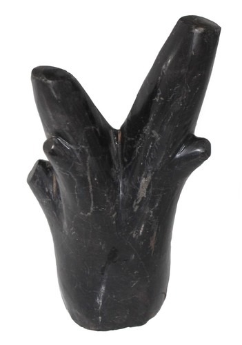 Fossilholz versteinerter - fossilholz,