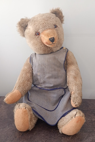 Alter sammler teddy - sammler,