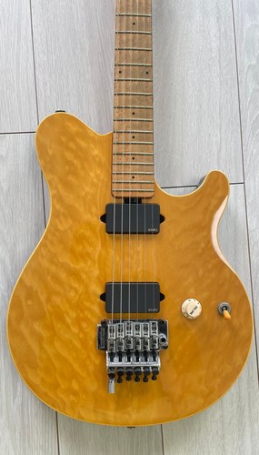 Ernie ball music - music, man