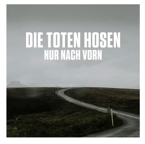 Die toten hosen - hosen, nur