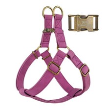 Hundegeschirr & Leine aus PU-Leder – personalisiert mit gravierter ID-Schnalle