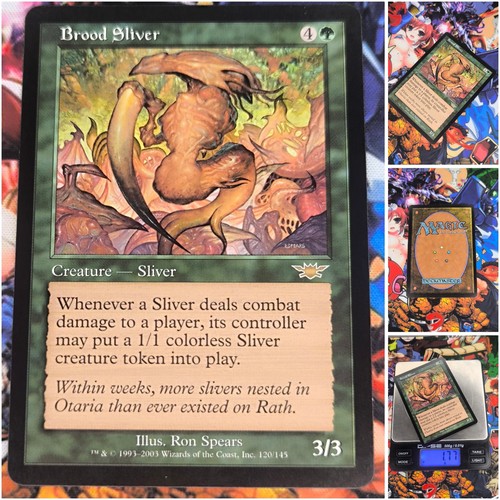 Mtg brood sliver - mtg, 🇬🇧