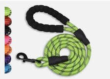 Robuste Hundeleine mit