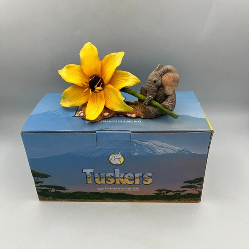 Tuskers love you this much - you, much"