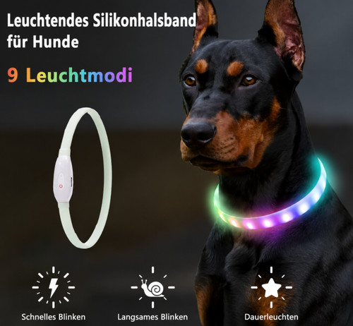Led hundehalsband regendicht - led,