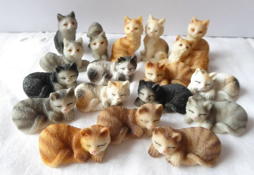 Miniatur katze kätzchen - miniatur,
